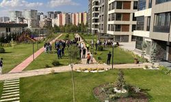 Şanlıurfa’da alacak kavgası: 4 yaralı