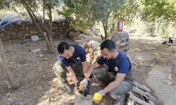 Şanlıurfa’da foseptik çukuruna düşen köpek yavrusu kurtarıldı