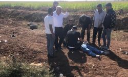 Şanlıurfa’da otomobil devrildi: 2 yaralı