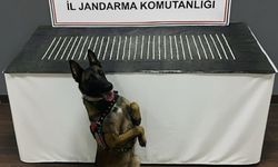 Şanlıurfa’da uyuşturucu operasyonu: 3 gözaltı