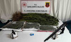 Şanlıurfa’da uyuşturucu operasyonunda 1 gözaltı