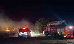 Serik’te yol kenarındaki otluk alanda çıkan yangın korkuttu
