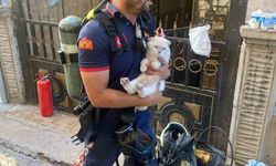 Siirt’te yangında mahsur kalan kediyi itfaiye ekipleri kurtardı