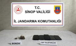 Sinop’ta bonzai ele geçirildi: 1 kişi tutuklandı