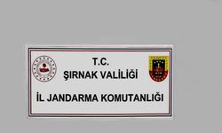 Şırnak’ta jandarmadan kaçakçılık operasyonu: 1 tutuklama