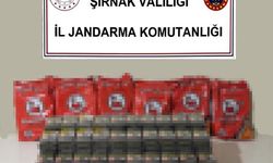 Şırnak’ta kaçakçılığa büyük darbe: 10,6 milyon liralık malzeme ele geçirildi