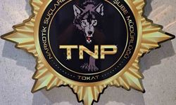 Tokat’ta uyuşturucu operasyonu, 500 içimlik bonzai ele geçirildi