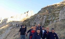 Van Kalesi’nden düşen kişi ağır yaralandı