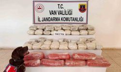 Van’da 61,9 kilogram skunk ele geçirildi