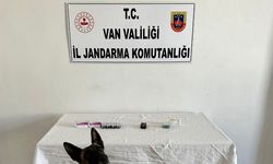 Van’da İran uyruklu şahsın üzerinden 380 adet sentetik hap ele geçirildi