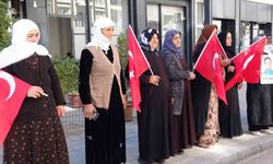 Vanlı annelerin evlat nöbeti 110’uncu haftasında