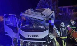 Yağışta yoldan çıkan kamyonet sürücüsü yaralandı