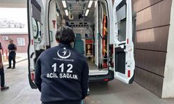 Zeytin ağacından düşen kişi yaralandı