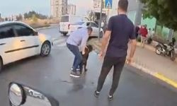 Rottweiler cinsi köpek iki kişiye saldırdı