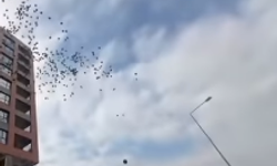 Atış Yapı Mağdurları siyah balonlarla seslerini duyurdu