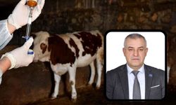 A Parti Mustafakemalpaşa'dan şap hastalığını açıklaması