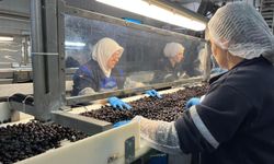 Marmarabirlik’ten yeni dönem lansmanı