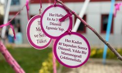 2. Nilüfer Halk Sağlığı Günleri başladı