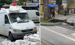 Bursa'yı lodos vurdu: Ağaçlar devrildi, teleferik seferleri durdu