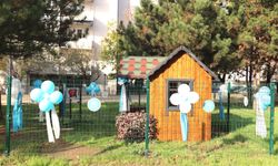 Nilüfer'de sokak canlarına yeni yuva