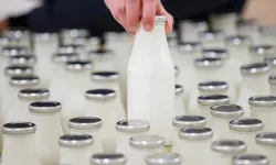 Süt üretiminde yeni dönem: Yağ oranı güncellendi