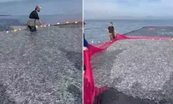 İznik Gölü'nde tek seferde 21 ton gümüş balığı yakalandı