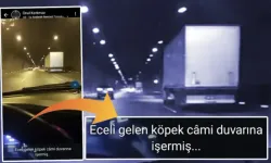 Tahliye olunca WhatsApp'tan tehdit etti yine tutuklandı