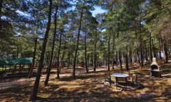 Atatürk Kent Ormanı'ndaki alan BURFAŞ'a devrediliyor