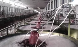 Marmarabirlik'te korkutan yangın!