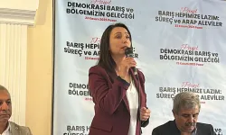 DEM Parti'den, İmralı'ya gitmeme kararı alan CHP'ye mesaj