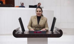 Ayyüce Türkeş ve DEM'li vekiller arasında gerginlik