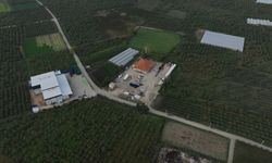 Bursa Büyükşehir’den kırsal kalkınmaya tam destek