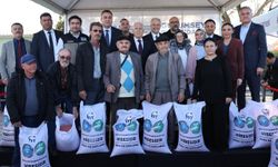 Bursalı çiftçinin yüzü gülüyor