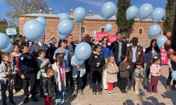 Diyabete karşı seferberlik