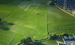 Arsa-tarla fiyatlarının en çok arttığı ve azaldığı iller