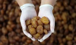 Bursa kestane şekeri ve İpsala pirinci AB'den coğrafi işaret tescili aldı