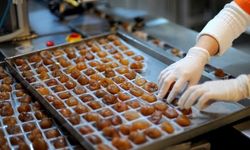 Bursa kestane şekeri ve İpsala pirinci AB'den coğrafi işaret tescili aldı