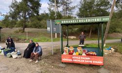 Bursa'da dağ köylüsüne belediyeden destek