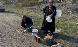 Bursa'da iki yaşlı kadın gençlere taş çıkartıyor
