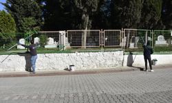 Karacabey'de mezarlıklara özenli bakım