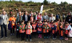 Osmangazi Belediyesi 700 fidan dikimi gerçekleştirdi