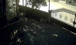 4.5 büyüklüğündeki deprem kamerada