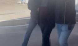 Adana’da FETÖ firarisi öğretmen yakalandı: Özel harekât polislerinden sorumluymuş