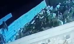 Ağıla giren kurt koyunu telef etti: O anlar kamerada
