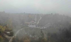 Anne ve oğuldan 3 gündür haber alınamıyor: Yoğun sis altında 16 kilometrelik alanda arama sürüyor