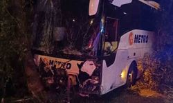 Antalya’da yolcu otobüsü refüjdeki ağaç ve aydınlatma direğine çarptı: 3 yaralı