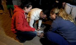 Antalya’daki yangında 2 kedi telef oldu, sahipleri gözyaşlarına boğuldu