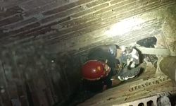 Apartman boşluğunda mahsur kalan yavru kediyi itfaiye kurtardı