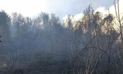 Artvin Hopa’da ziraat alanında çıkan yangın ormana sıçradı