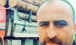 Artvin’de üzerine ağaç devrilen şahıs hayatını kaybetti